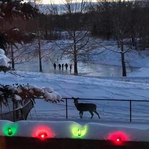 Meet your Posher, Tracy